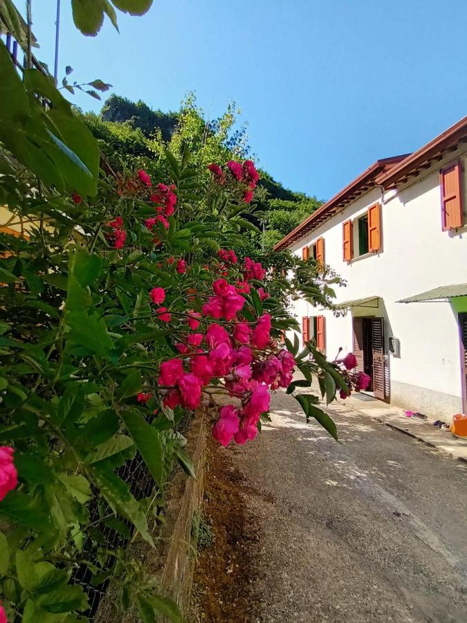 Вилла Casolare Trombacco Fabbriche di Vergemoli Экстерьер фото